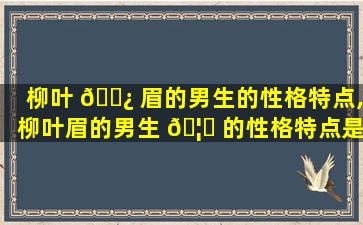 柳叶 🌿 眉的男生的性格特点,柳叶眉的男生 🦈 的性格特点是什么